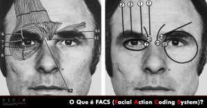 Facial Action Coding System Paul Ekman Action Units Upper Face